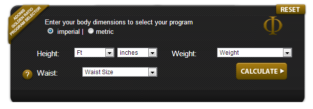 Adonis Training Calculator