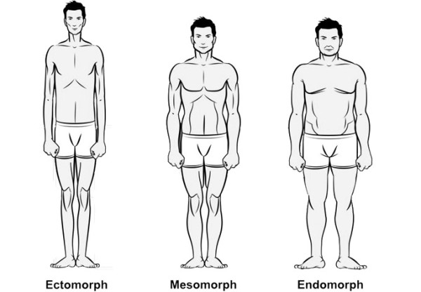 3 different body types